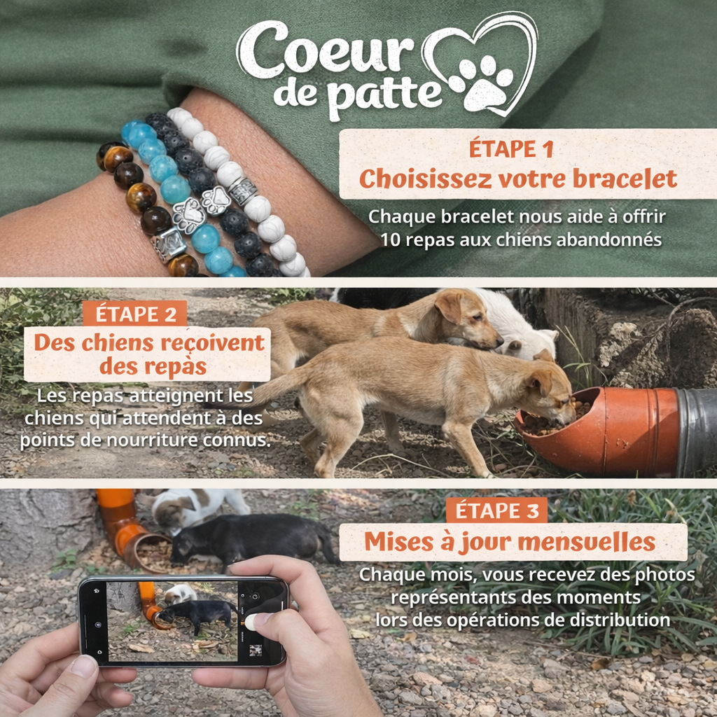 Lot Double Love - Bracelets assortis en forme de patte