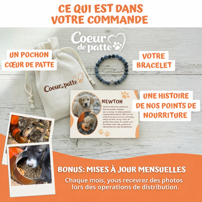 Lot Double Love - Bracelets assortis en forme de patte